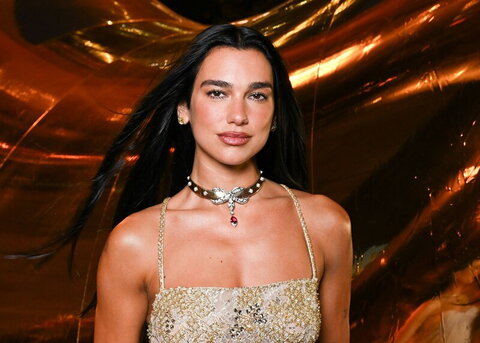 Dua Lipa nude photo 16