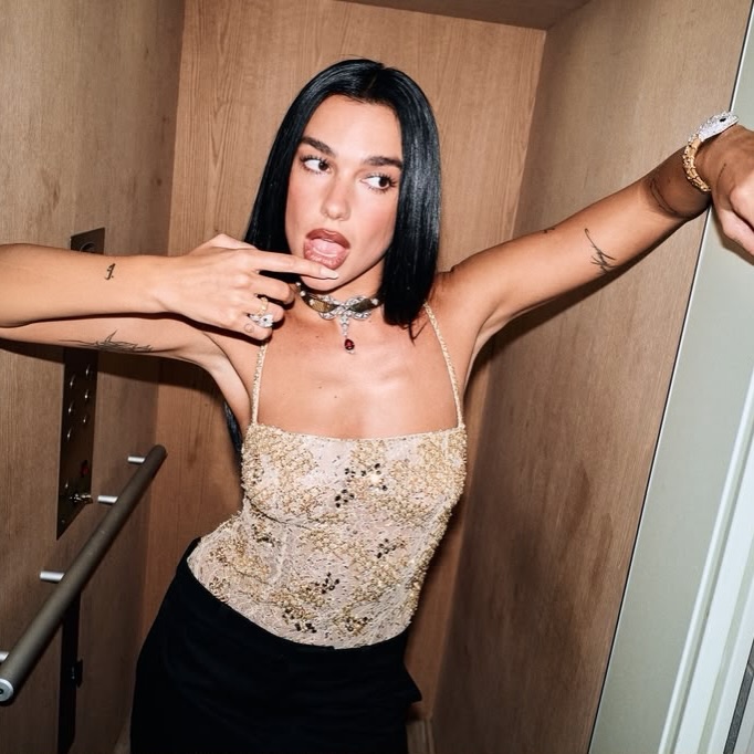 Dua Lipa nude photo 5