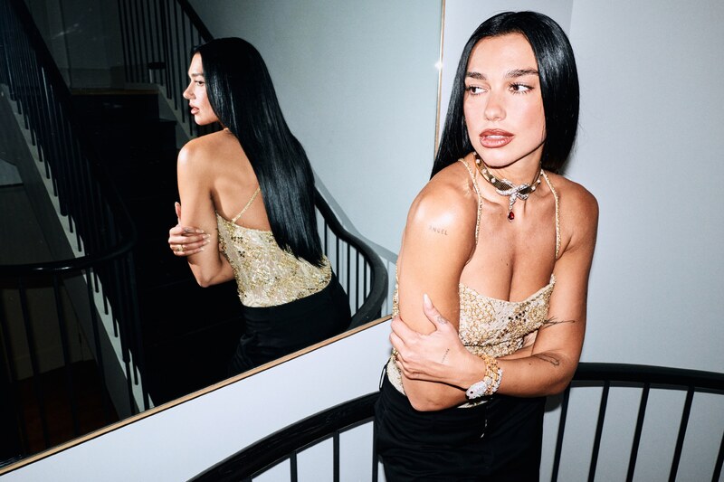 Dua Lipa nude photo 3