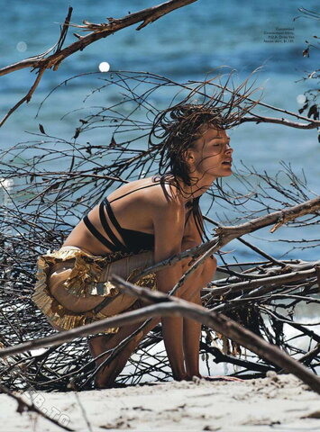 Edita Vilkeviciute nude