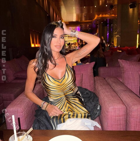 Elisabetta Gregoraci nude