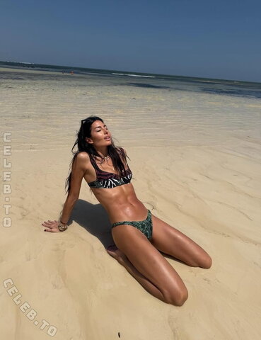 Elisabetta Gregoraci nude