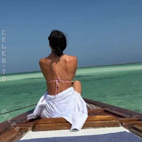 Elisabetta Gregoraci nude