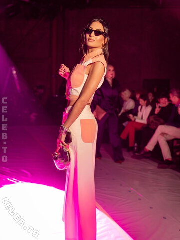 Elisabetta Gregoraci nude