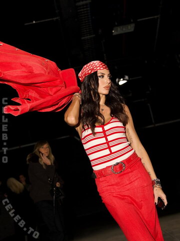 Elisabetta Gregoraci nude