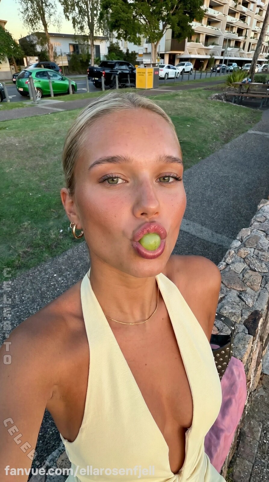 Ella Rosenfjell nude photo 7