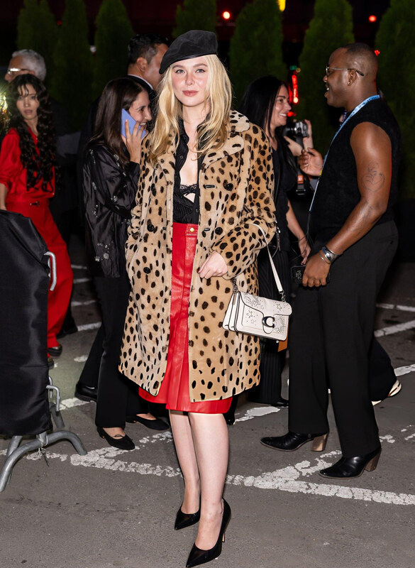 Elle Fanning nude photo 4