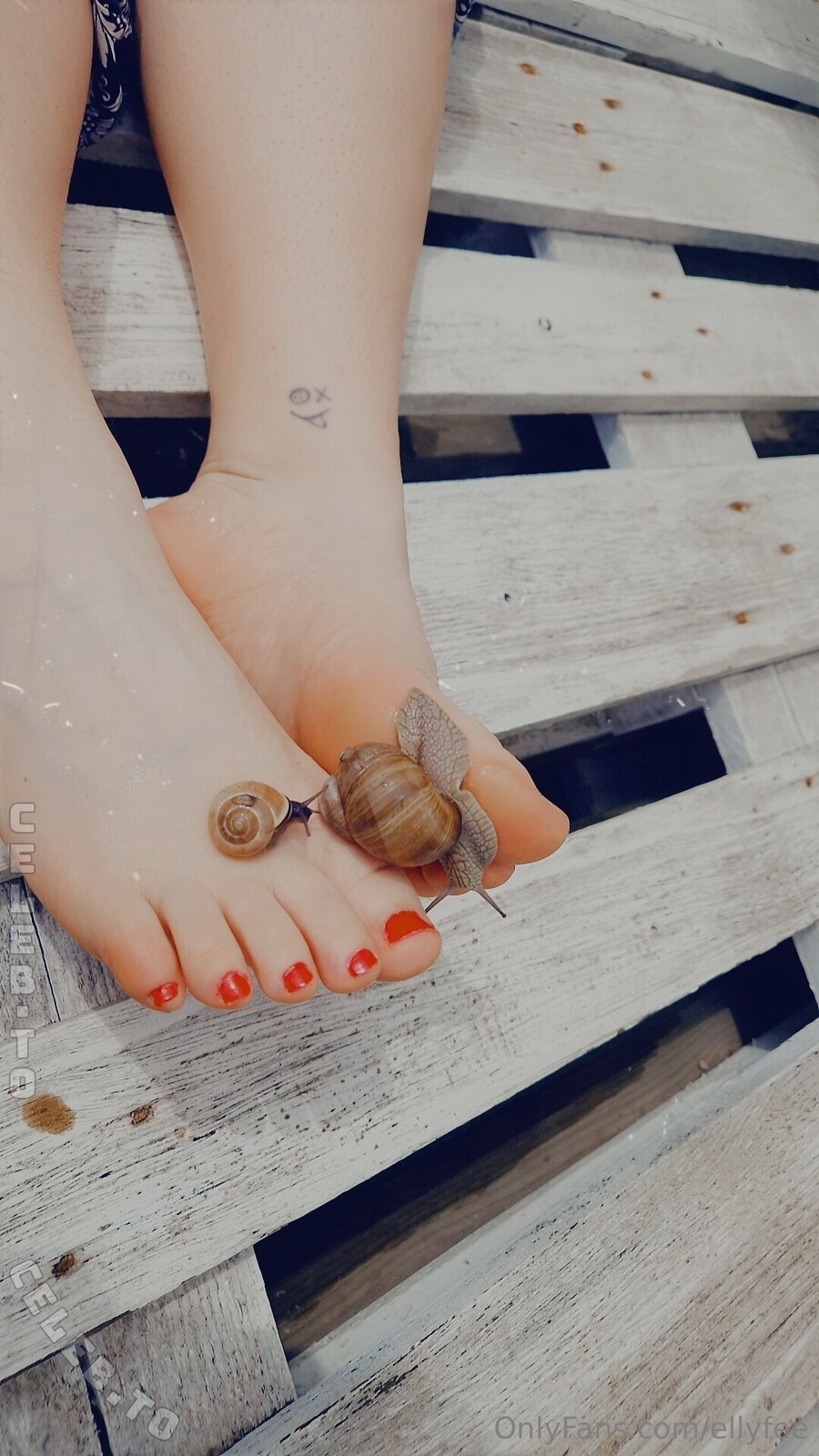 Ellyfee nude photo 8