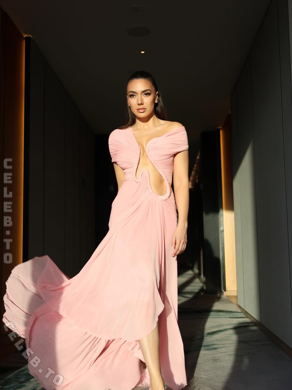 Elvana gjata nude photo 2