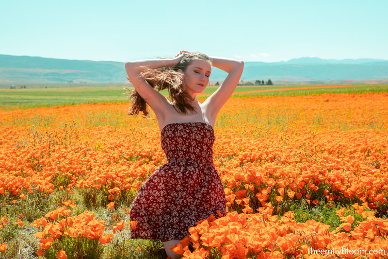 Emily Bloom nude photo 2