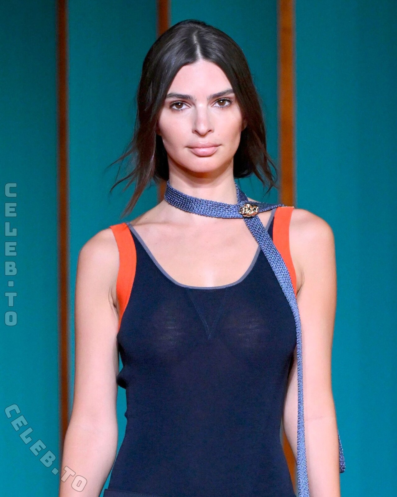 Emily Ratajkowski nude photo 8