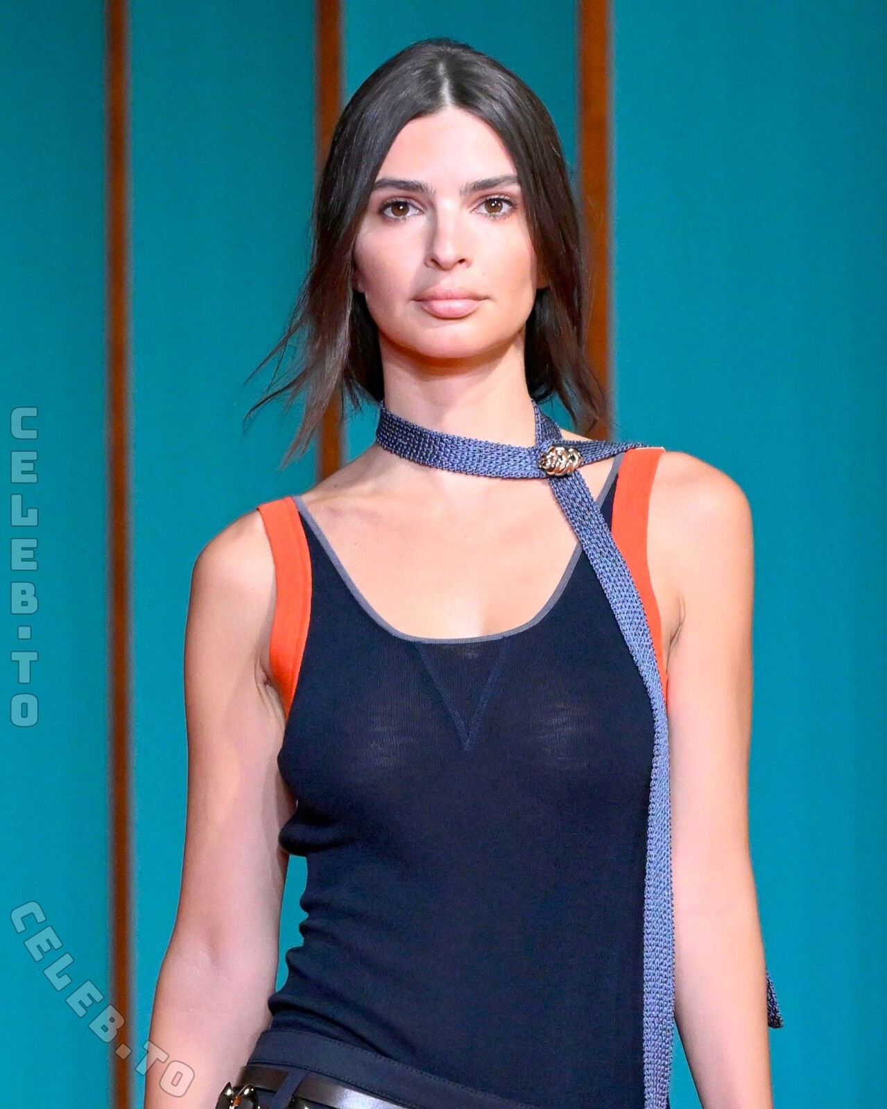 Emily Ratajkowski nude photo 11