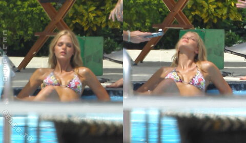 Erin Heatherton nude