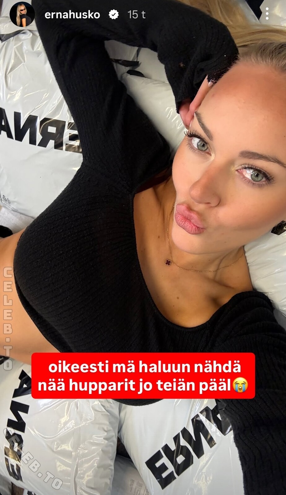 Erna Husko nude photo 8