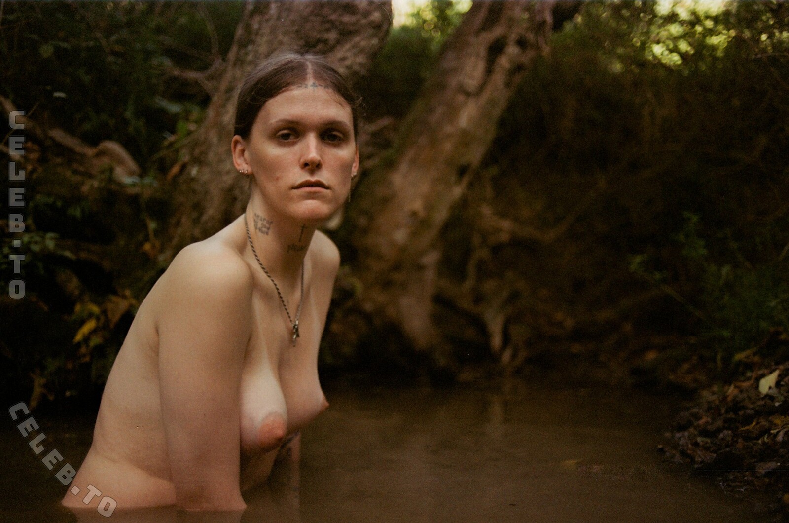 Ethel Cain nude photo 2