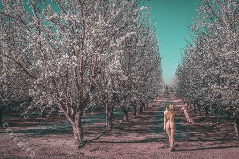 faerie – Tumblr - stormy sky’s and kaleidoscope eyes. thank you @myfaerielove for always being willing to jump out of…