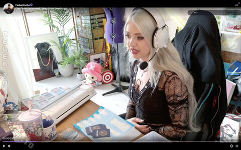 Farbenfuchs – A nice outfit in yesterday's stream