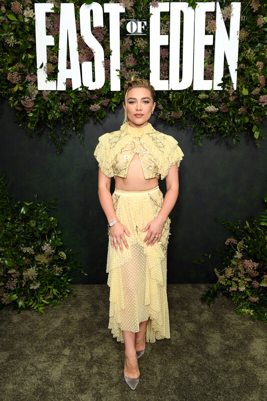 Florence Pugh nude photo 4