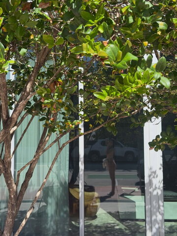 Gaela Barraza nude photo 4