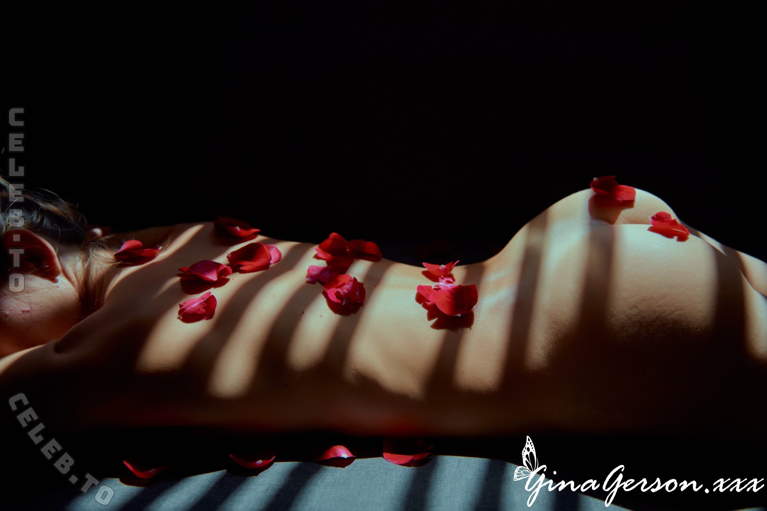Gina Gerson nude photo 4