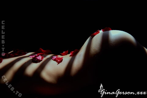 Gina Gerson photo 5