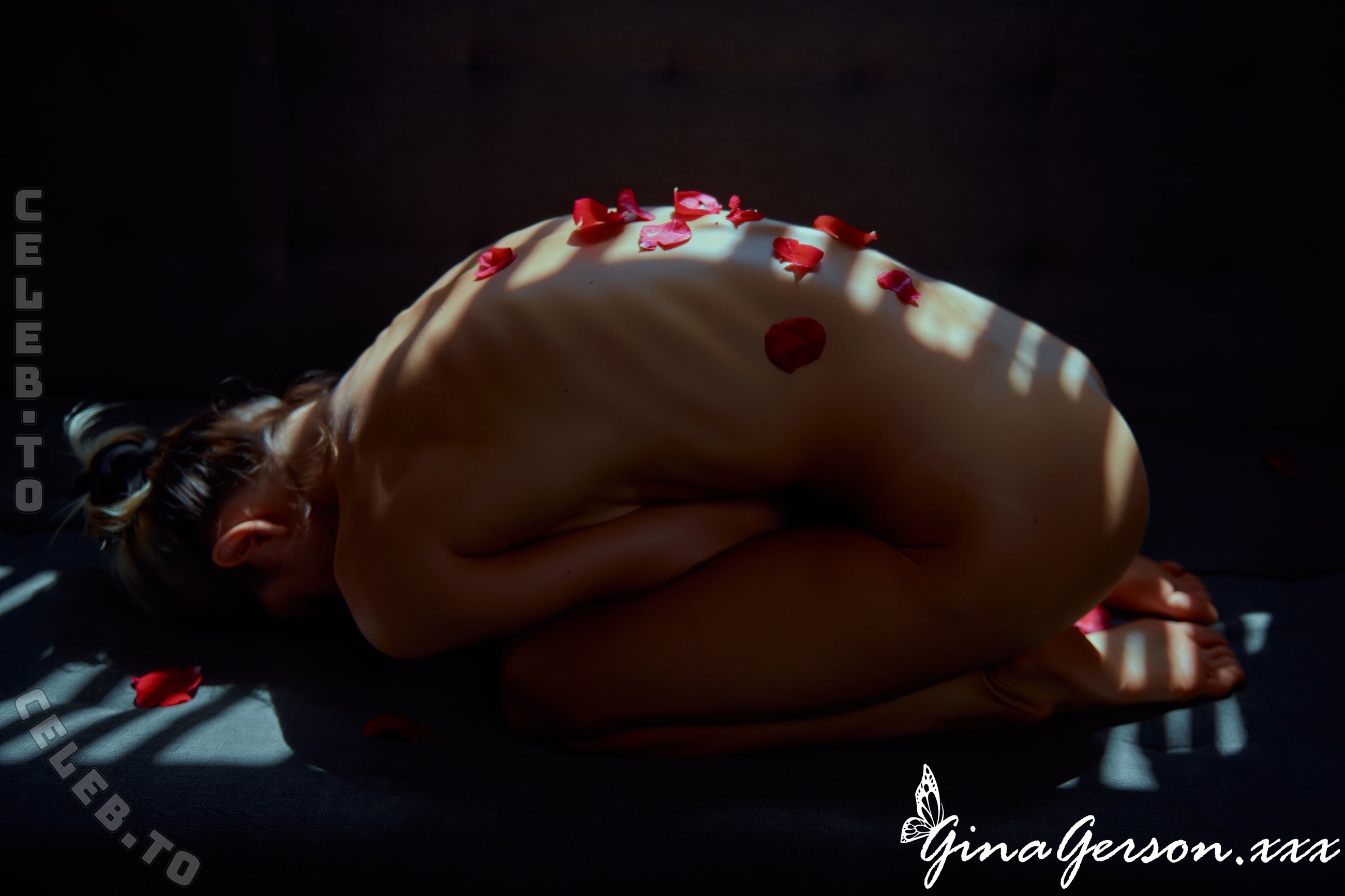 Gina Gerson nude photo 16
