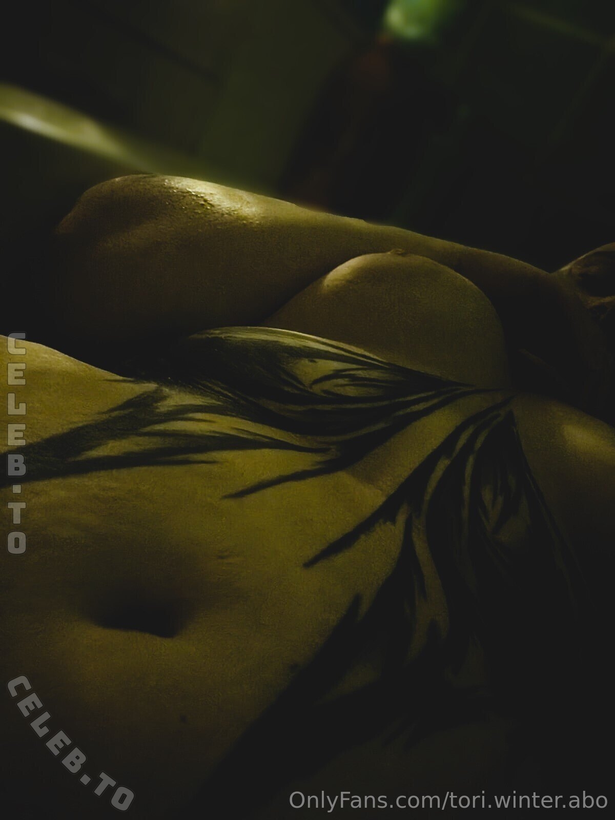 Goddess Victoria nude photo 6