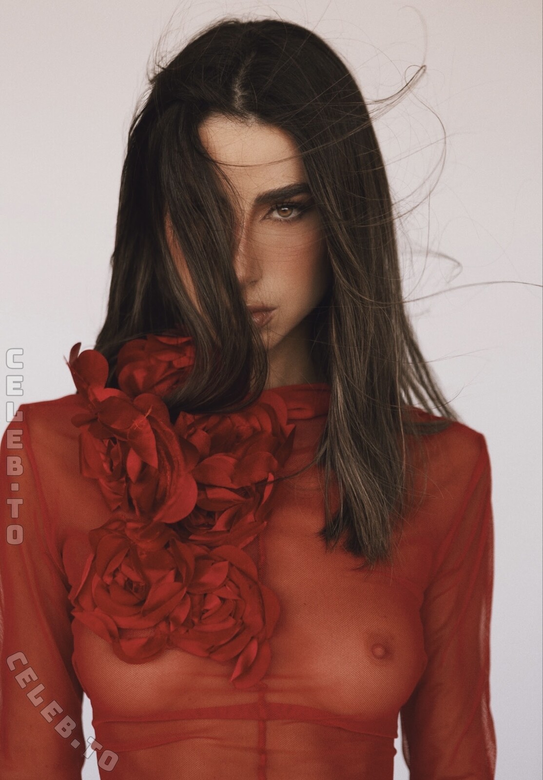 Guadalupe Diagosti nude photo 15