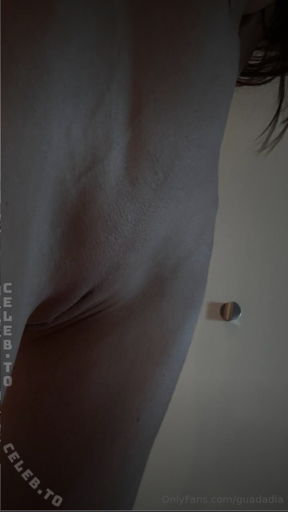 Guadalupe Diagosti nude photo 14
