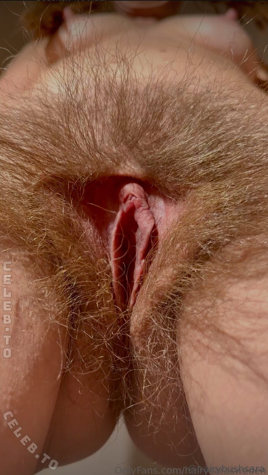 Hairy sara nude photo 4