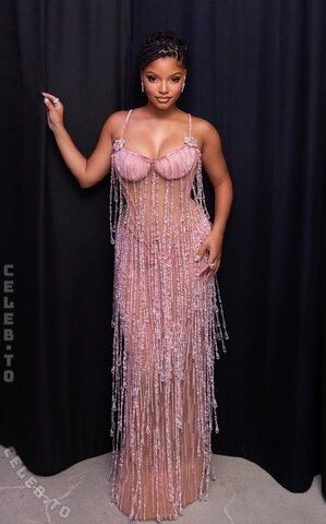 Halle Bailey nude photo 2