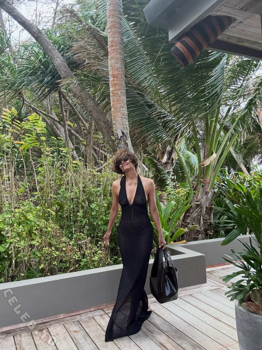 Halle Berry nude photo 4