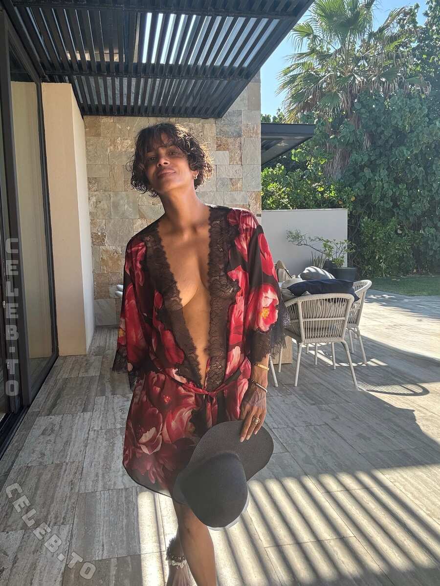 Halle Berry nude photo 3