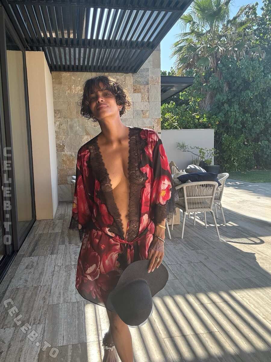 Halle Berry nude photo 6