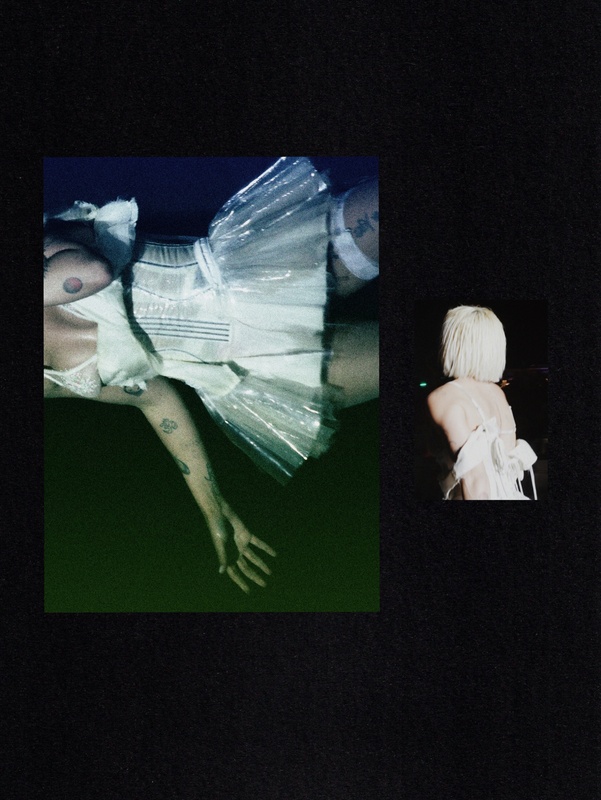 Halsey nude photo 5