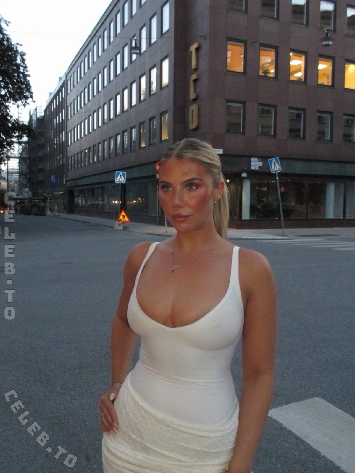 Hannah Bystrom nude photo 4