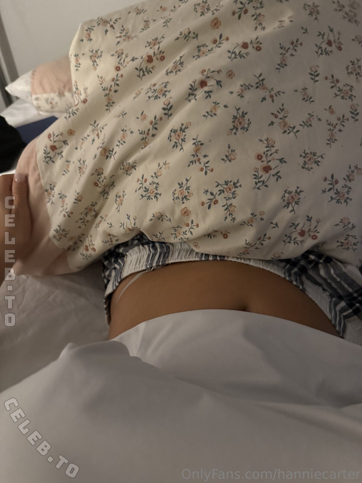 Hannie Carter nude photo 2