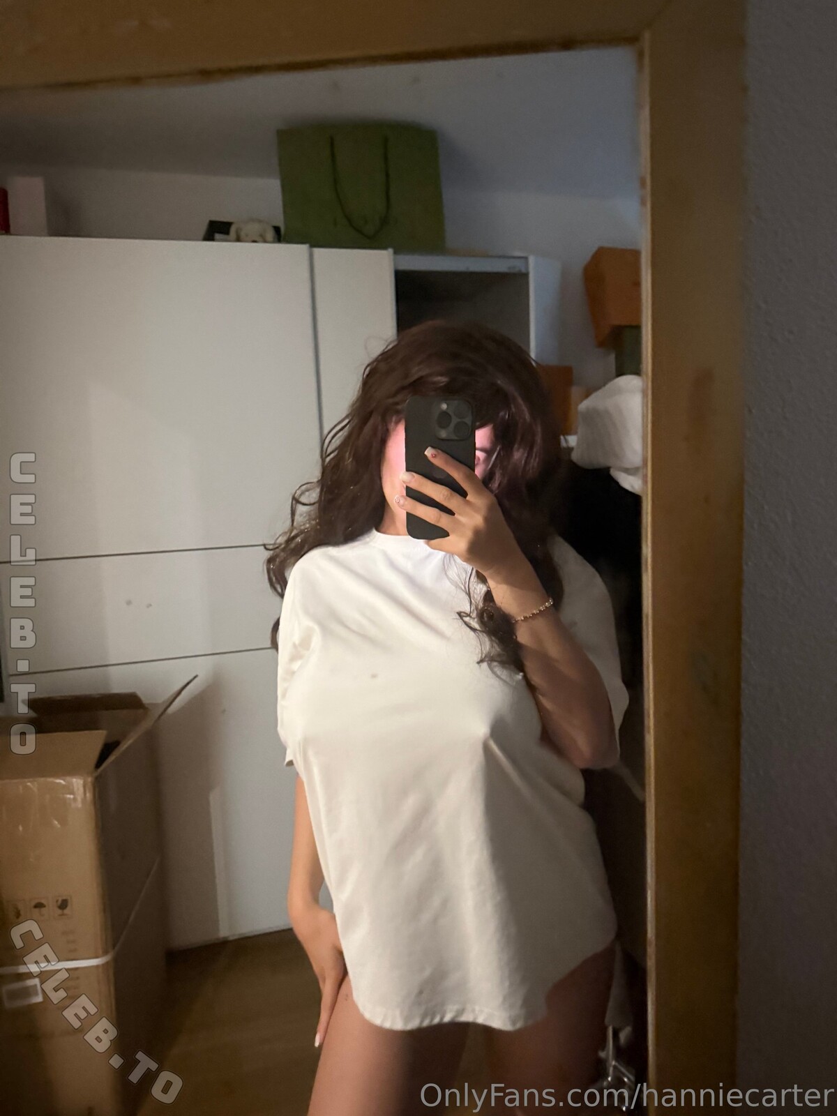 Hannie Carter nude photo 8