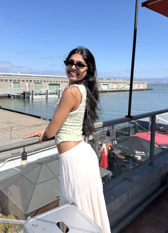 Harika Gongalareddy nude photo 9