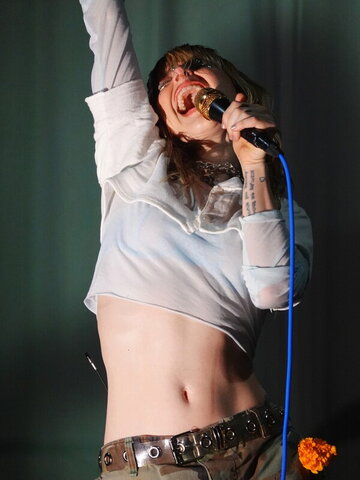 Hayley Williams nude photo 47