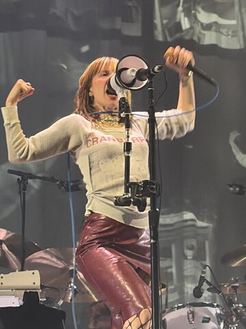 Hayley Williams Sexy (23 photos)