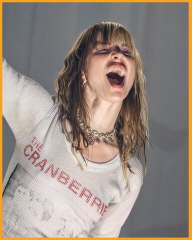 Hayley Williams nude photo 35
