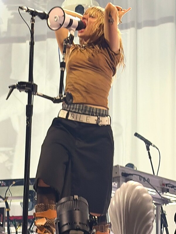 Hayley Williams nude photo 18