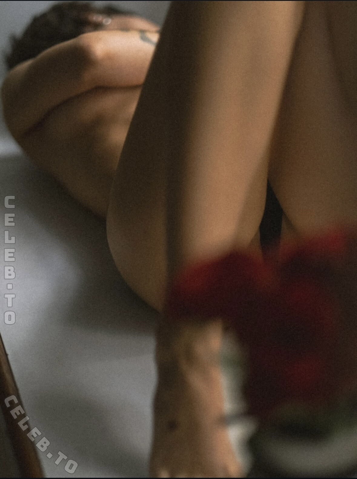 Heike Van Romburgh nude photo 2