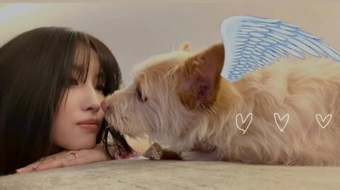 Hirai Momo nude photo 2