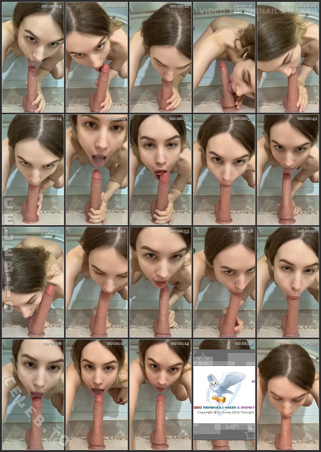 IMintRose nude photo 1