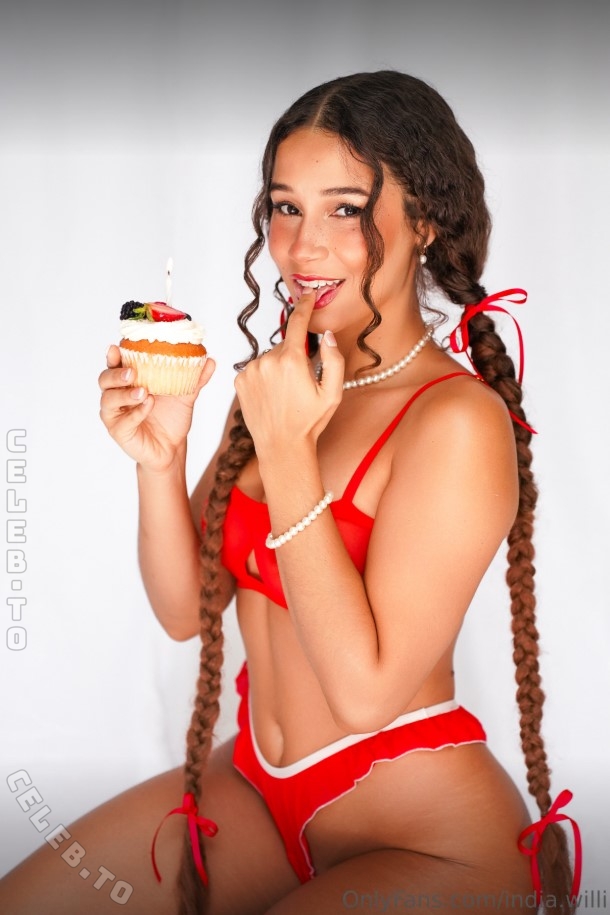India.willi nude photo 2