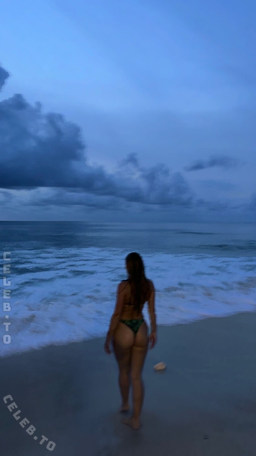 Inna Chimi nude photo 3