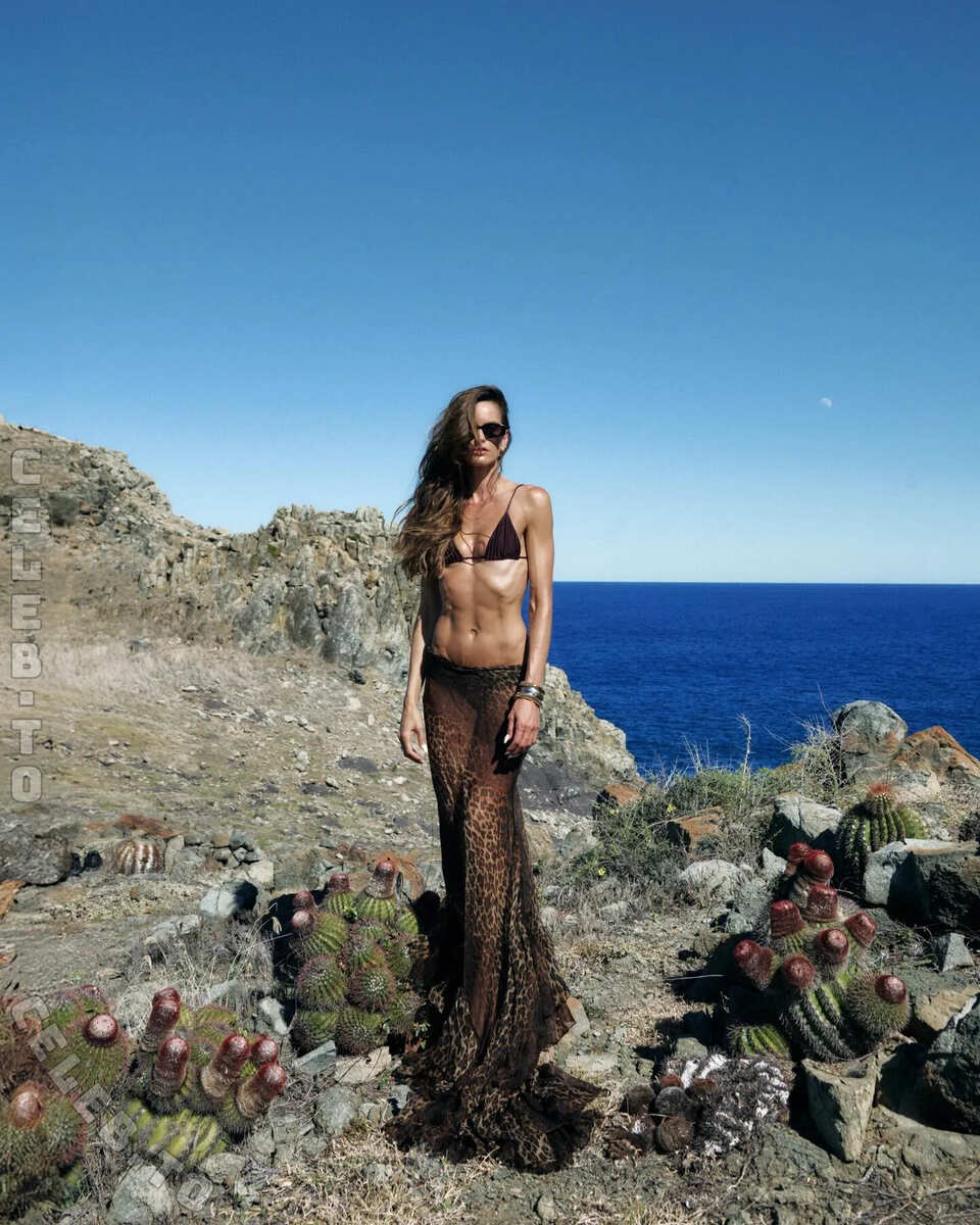 Izabel Goulart nude photo 11