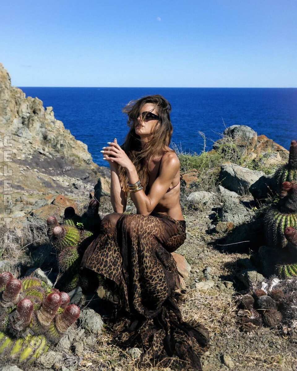 Izabel Goulart nude photo 12